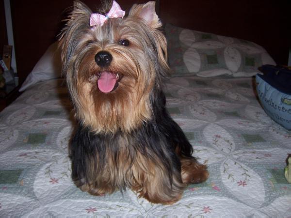 Mara (Romero) MEX. FCI.