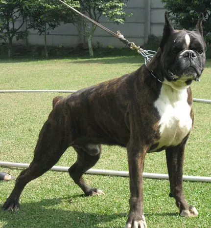 Lutero De Las Arillas