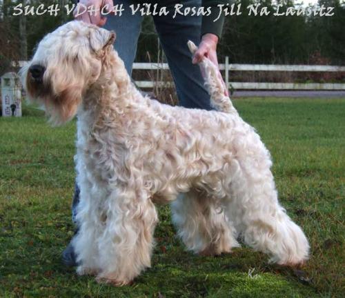 Villa Rosas Jill Na Lausitz