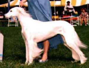 Lorrequer Semiramis