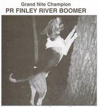 Finley river hot sale coonhounds