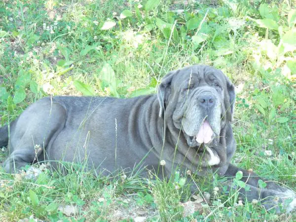 Kilbertus Caterina