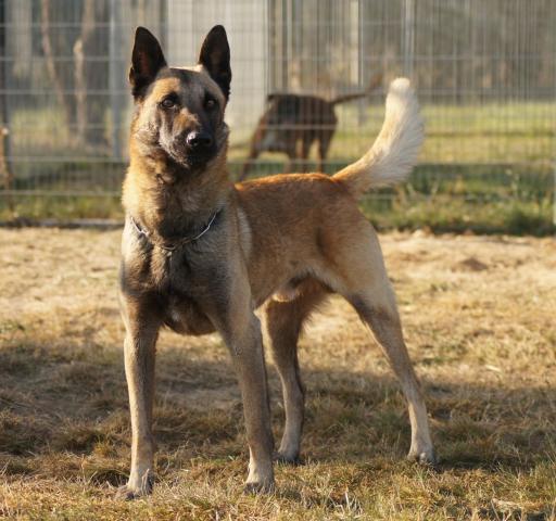 Carrif Du Banc Des Hermelles