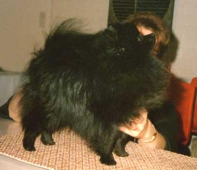 Dacabe Dark One