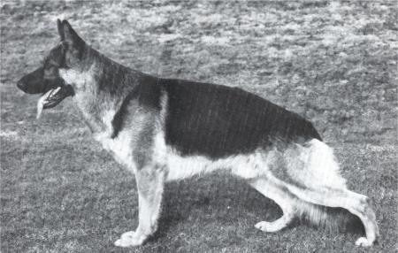 Echo Von Haus Anja