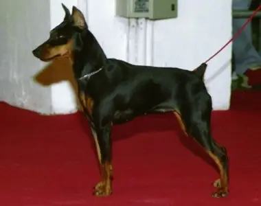 Hathor