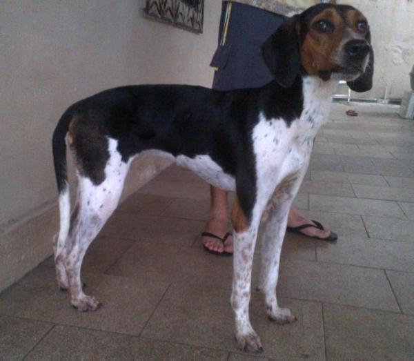 Bella RB do Mundurucânia