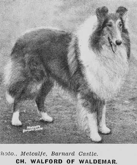 Walford Of Waldemar