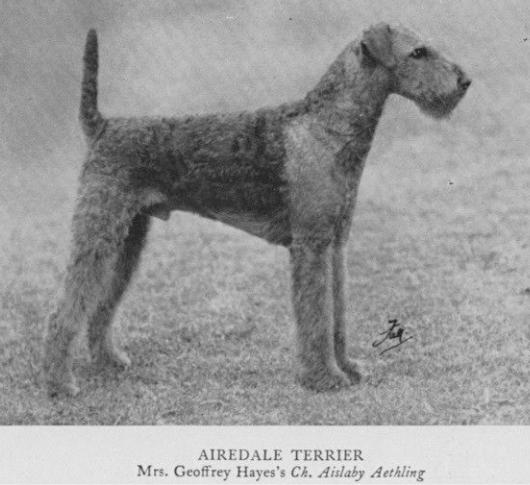 Aislaby Aethling