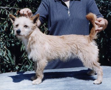 Mana da Lapa do Lobo de Plushcourt