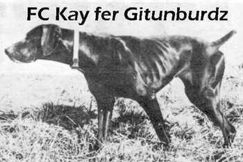 Kay fer Gitenburdz