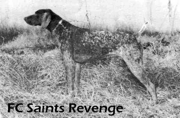 Saints Revenge