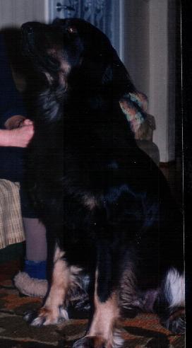 Brita von der Funkenmühle