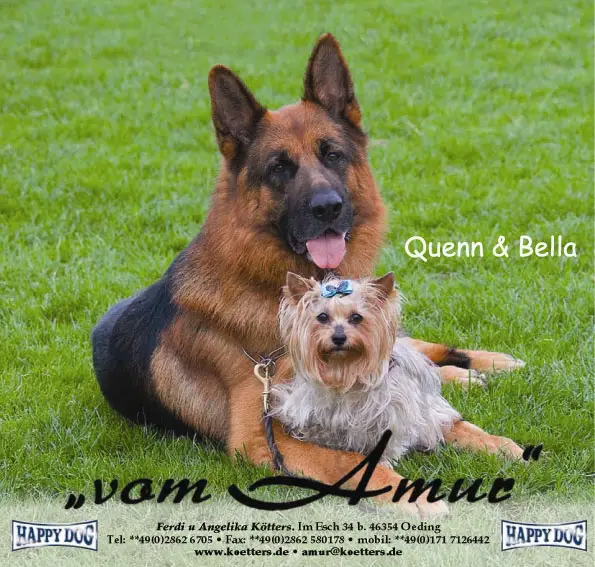 Bella & Quenn