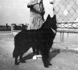 Thierry du Donjon des Vincennes