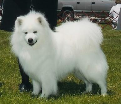 Alpine's He Walks W O Sound