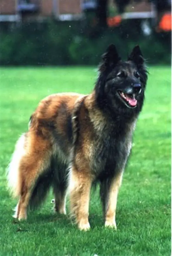 Osca van Astrita-Hof