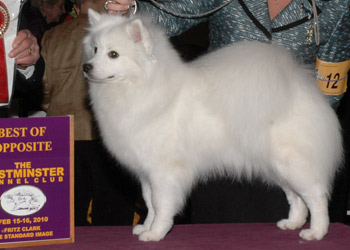 Silveroaks's Marsha Mellow