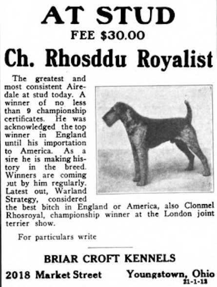 Rhosddu Royalist