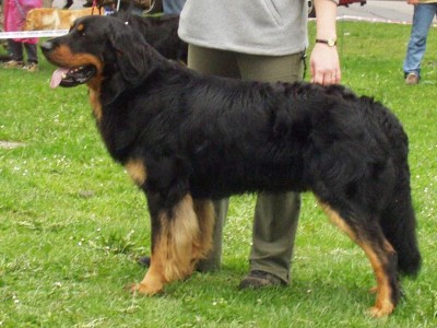 Artus Cerny vrch