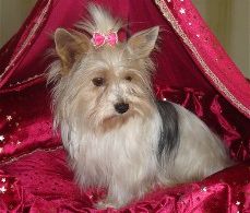 Cindy from Sissy's Heaven