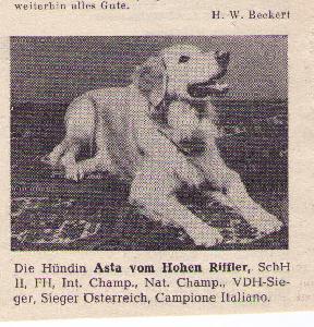 Asta vom Hohen Riffler