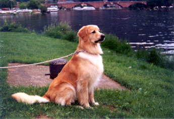 Alf von der Urd