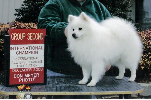 Sycamore's Mischief Maker