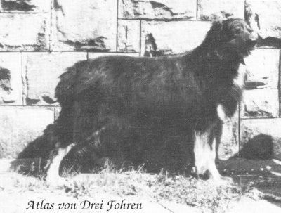 Atlas von der Drei Föhren