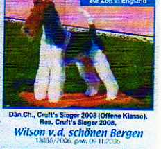 Wilson von den schönen Bergen