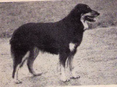 Anke vom Kandertal