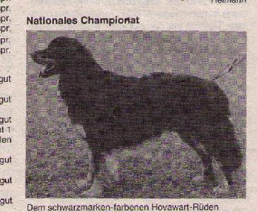 Castor aus der Räuberhöhle