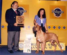 Dogstar's Banken