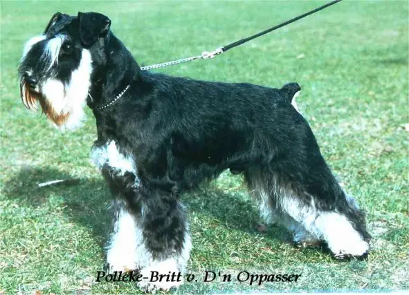 Polleke-Britt van D'n Oppasser