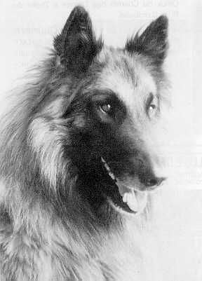 Ares de la Clairiere aux Louves