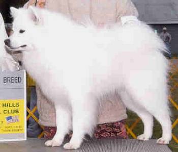Eros' Gandalf The White