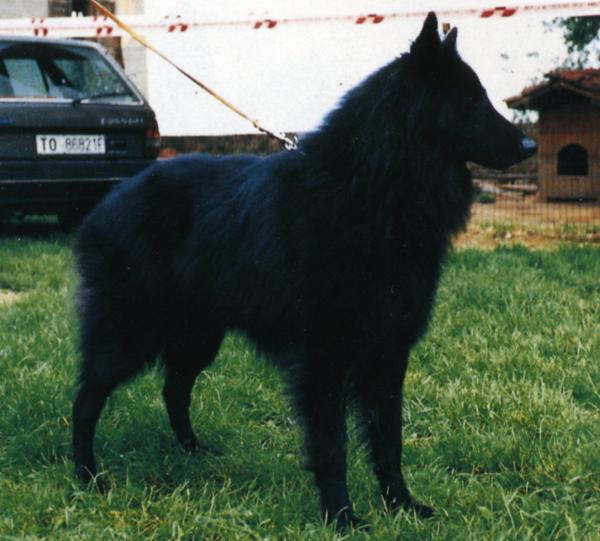 Behra del Lago Nero