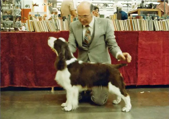 english springer spaniel pedigree database