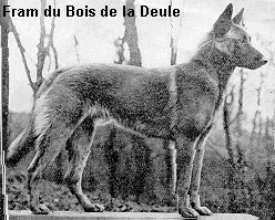 Fram du Bois de la Deule
