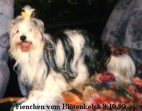Fienchen vom Blütenkelch