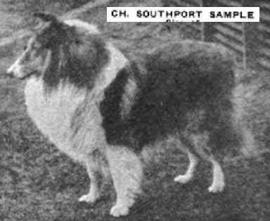 Southport Sample 139704