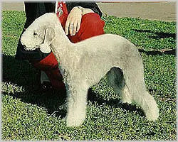Russkiy Aristocrat PANAGIJA