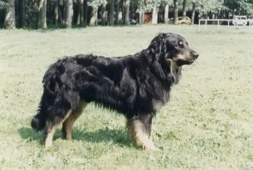 Barry von der Lerchenau