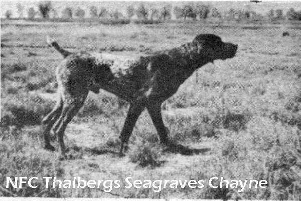 Thalberg's Seagraves Chayne