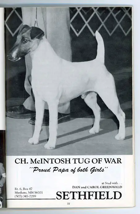McIntosh Tug Of War