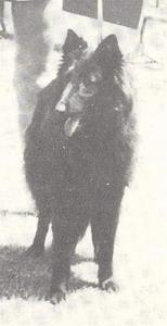 Gitane de la Quièvre