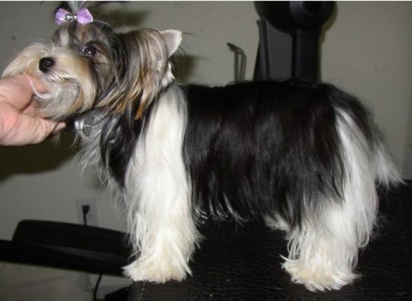 My Lady von Depenbrok
