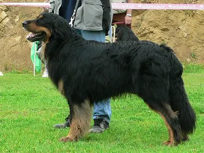 Artur z Duhového kopce
