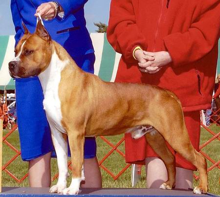 Royal Court Winning Colors