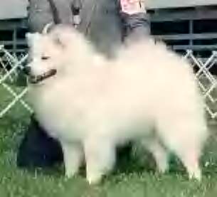 Lucky's Here Comes Trouble